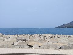 -三亚南山文化旅游区