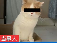 -武松家(丰益桥店)