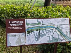 -大沙河公园
