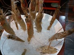 -洪焱重庆老火锅(万福花园店)