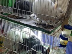 -双季花艺园艺市场(浦东店)