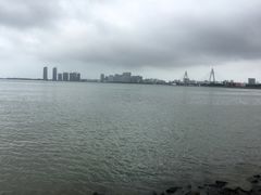 -万绿园