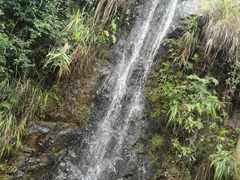 -大雁山风景区