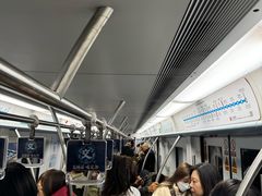 -东方体育中心(地铁站)