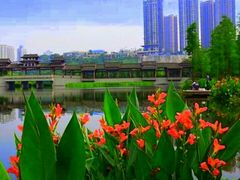 -重庆彩云湖湿地公园