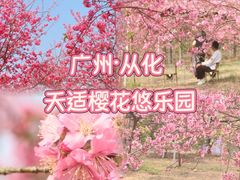 -天适樱花悠乐园