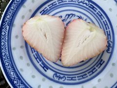 -水果地带(银泰城店)