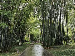 -望江楼公园