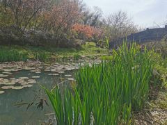 -南京市江宁方山