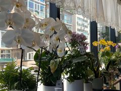 大堂-懒人盐府人家(航天桥店)