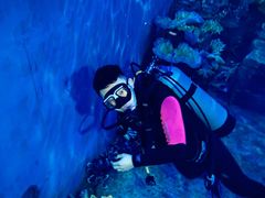 -华夏文旅海洋公园