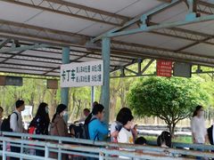 -上海海湾国家森林公园