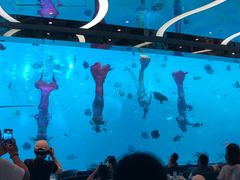-瑞德姆美人鱼海底演艺主题餐厅(亚龙湾店)