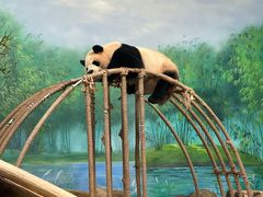 -杭州动物园