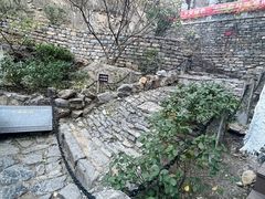 -佛慧山