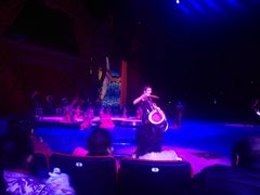 -珠海横琴长隆《卡卡虎奇遇记》