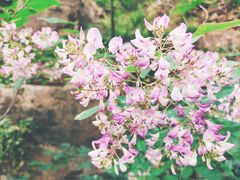 -湖洞水自然风景区