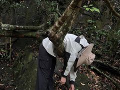 -千泷沟大瀑布旅游区
