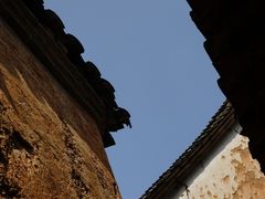 -杨家堂村
