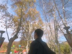 -东湖磨山景区