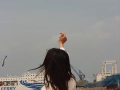 -海驴岛(荣成市)
