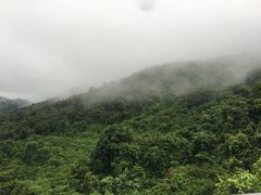 -阳台山森林公园