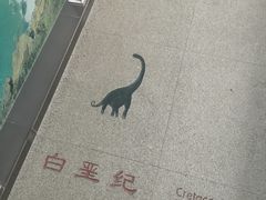 -中国第四纪冰川遗迹陈列馆