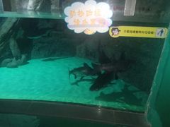 -常州海昌海洋探索馆