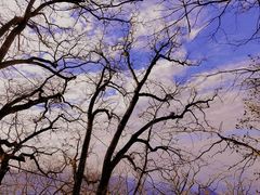 -终南山南五台景区