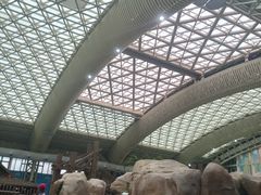 -杭州开元森泊度假乐园