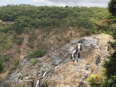 -热带雨林自然公园