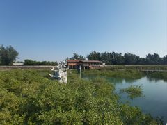 -北海金海湾红树林生态旅游区