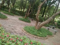 -人民公园(罗湖区)