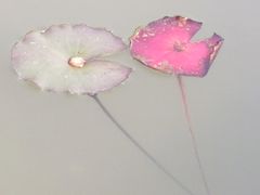 -星巴克(深圳前海企业公馆店)