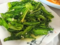 -煲来饱去冷水鱼