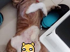 -通透堂中医·精准推拿(旗舰店)