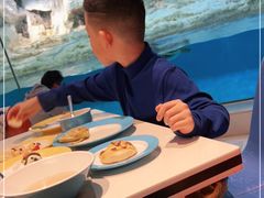 -帝企鹅自助餐厅•儿童岛•真企鹅(长隆企鹅酒店)