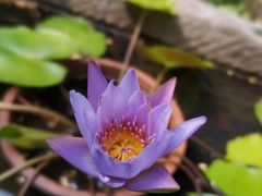 -雨花胜境