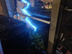 -柿子树炭烤羊腿(金台路店)