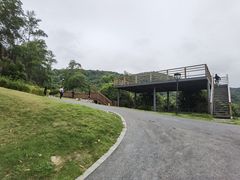 -黄埔油麻山森林公园