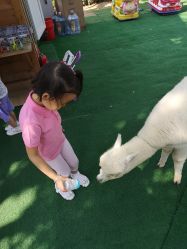 -萌宠亲子动物乐园(槐房万达店)