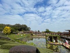 -广州莲花山旅游区