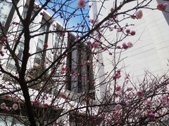 -无锡市市民中心