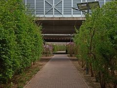 -元大都城垣遗址公园