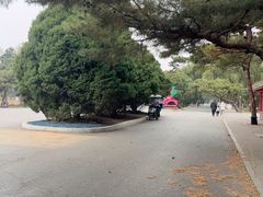 -北陵公园