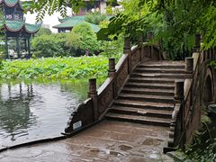-桂湖森林公园
