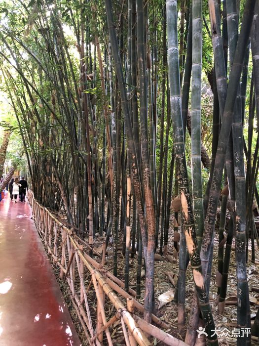 马洛雷勒花园图片