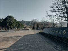 -秦始皇帝陵博物院-丽山园
