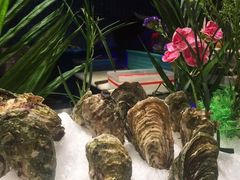 -V-ONE西雅图海鲜自助餐厅(仓山万达广场店)