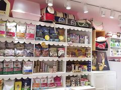 -宠伴小精灵宠物店(鼓楼店)